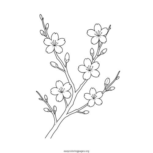 Canh Apricot Blossom Coloring Pages for Kids – Beautiful Printable Designs | Printable PDF